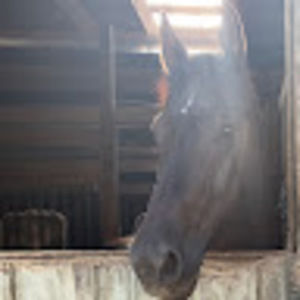 Meet your Posher, Mia